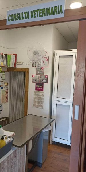 Consulta veterinaria en Salou